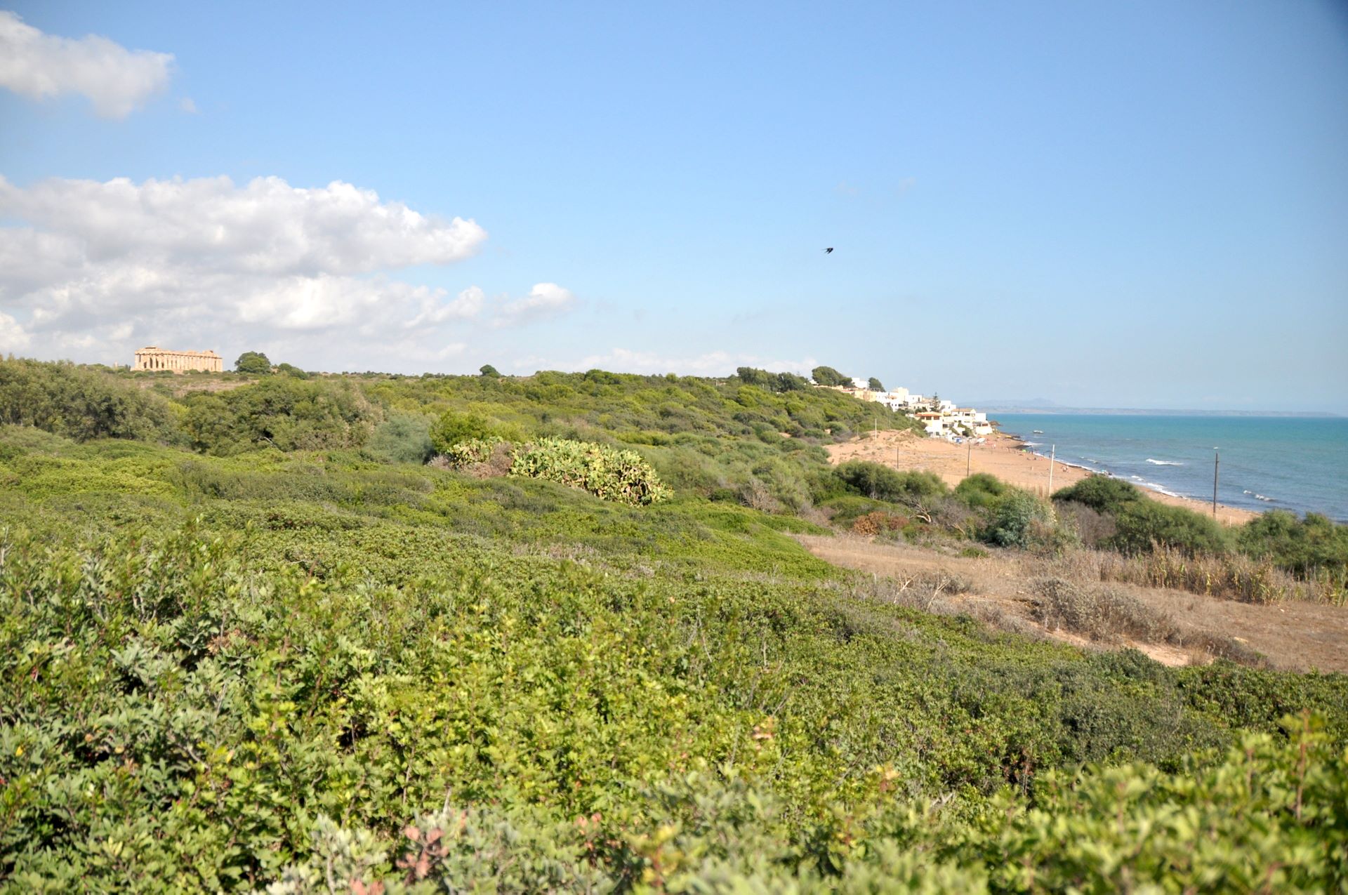 Templi di Selinunte, Marinella (Photo license: CC BY 2.0)